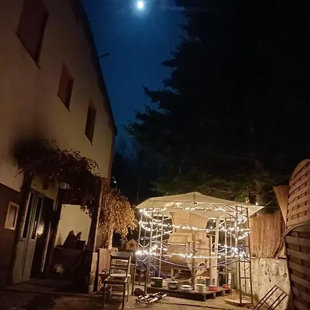 Apollo *